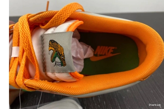 A&M Low Dunk University DR6188-800 Nike Florida 0818